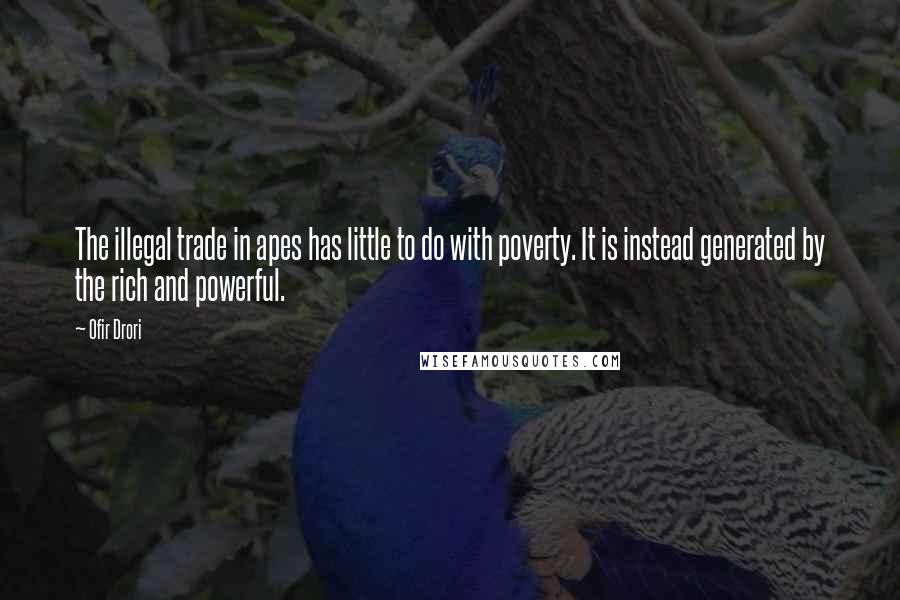 Ofir Drori Quotes: The illegal trade in apes has little to do with poverty. It is instead generated by the rich and powerful.