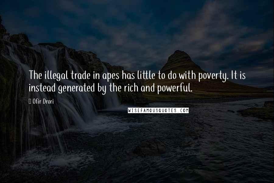 Ofir Drori Quotes: The illegal trade in apes has little to do with poverty. It is instead generated by the rich and powerful.