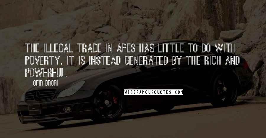 Ofir Drori Quotes: The illegal trade in apes has little to do with poverty. It is instead generated by the rich and powerful.