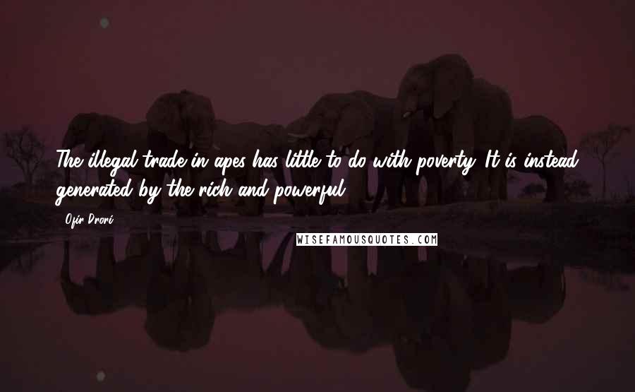 Ofir Drori Quotes: The illegal trade in apes has little to do with poverty. It is instead generated by the rich and powerful.