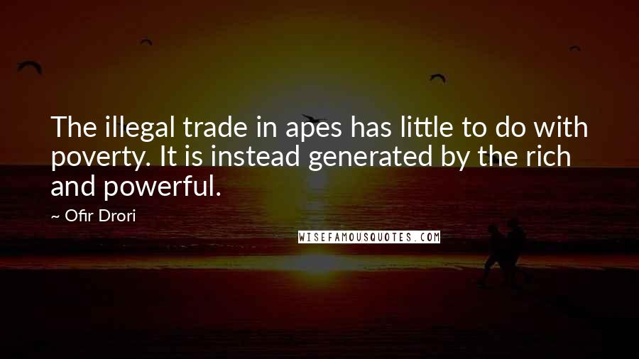 Ofir Drori Quotes: The illegal trade in apes has little to do with poverty. It is instead generated by the rich and powerful.