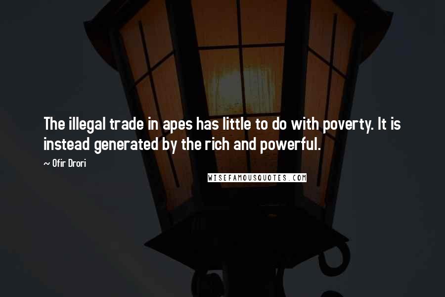 Ofir Drori Quotes: The illegal trade in apes has little to do with poverty. It is instead generated by the rich and powerful.