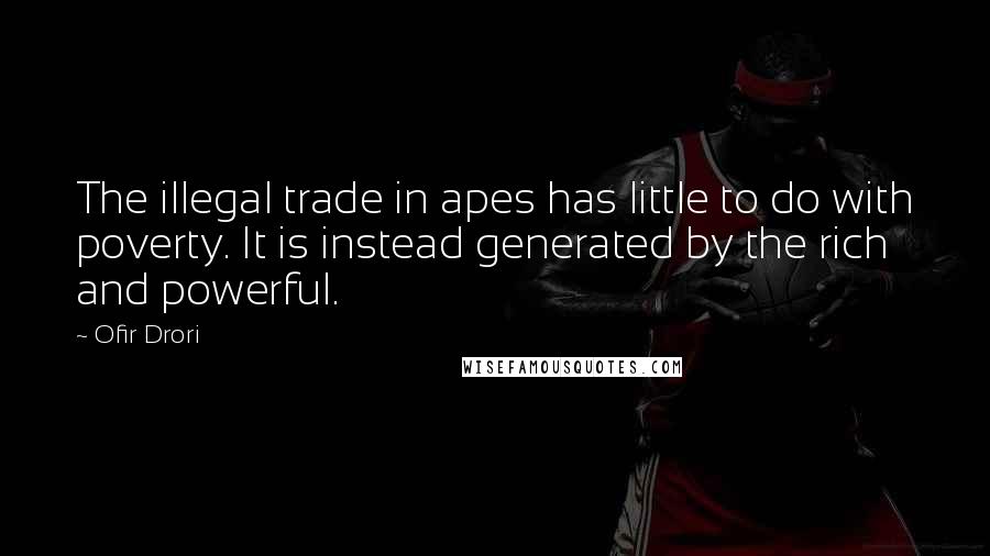 Ofir Drori Quotes: The illegal trade in apes has little to do with poverty. It is instead generated by the rich and powerful.