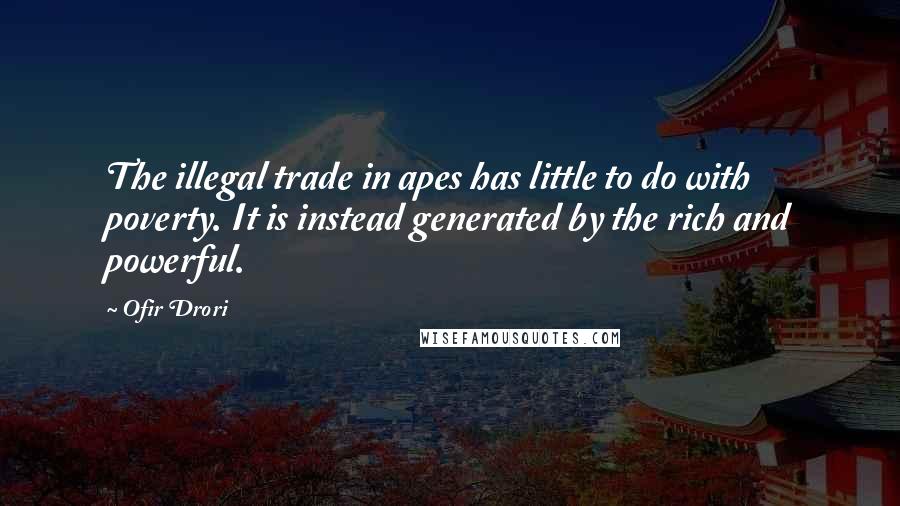 Ofir Drori Quotes: The illegal trade in apes has little to do with poverty. It is instead generated by the rich and powerful.