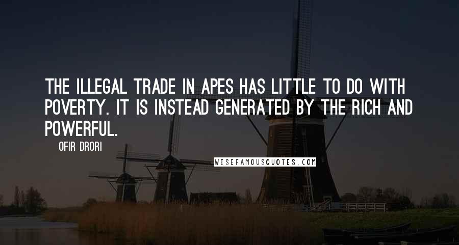 Ofir Drori Quotes: The illegal trade in apes has little to do with poverty. It is instead generated by the rich and powerful.