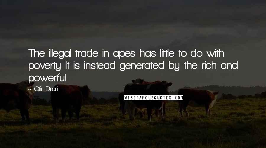 Ofir Drori Quotes: The illegal trade in apes has little to do with poverty. It is instead generated by the rich and powerful.