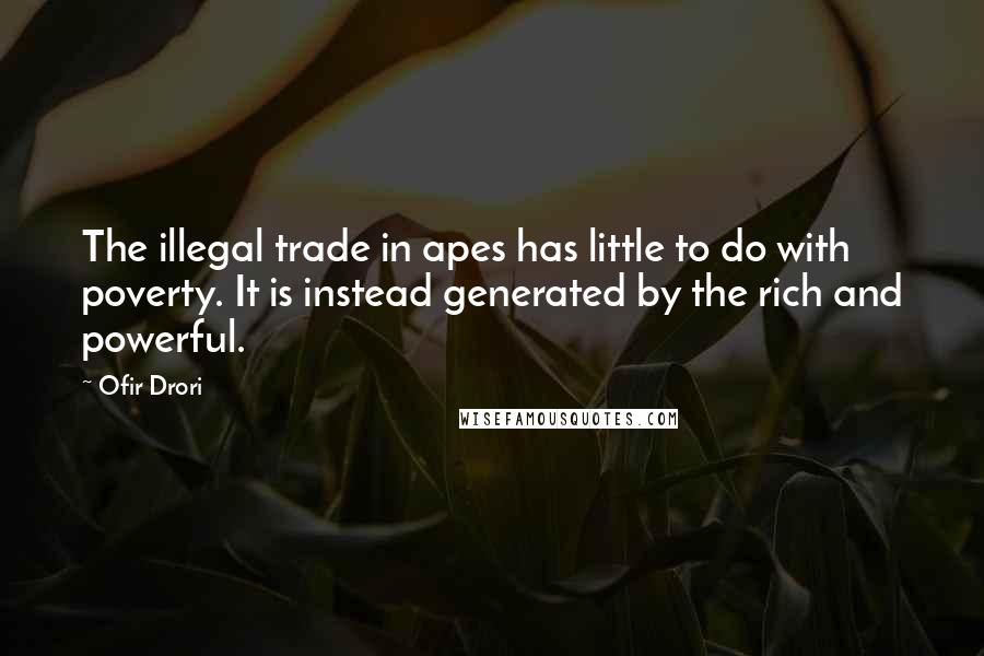 Ofir Drori Quotes: The illegal trade in apes has little to do with poverty. It is instead generated by the rich and powerful.