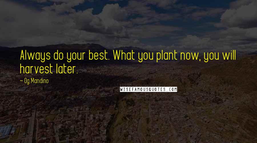 Og Mandino Quotes: Always do your best. What you plant now, you will harvest later.