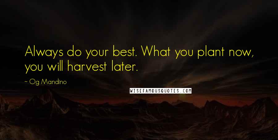 Og Mandino Quotes: Always do your best. What you plant now, you will harvest later.