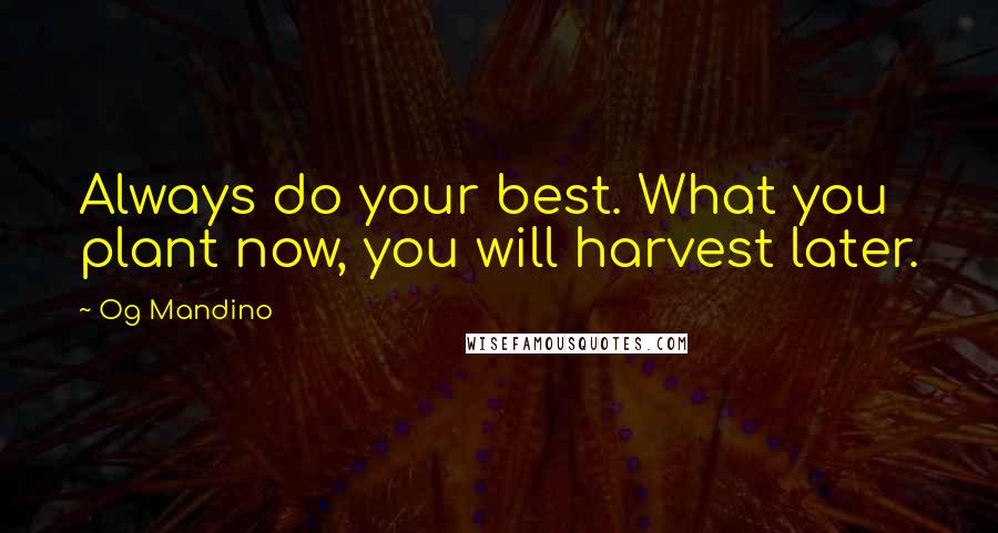 Og Mandino Quotes: Always do your best. What you plant now, you will harvest later.