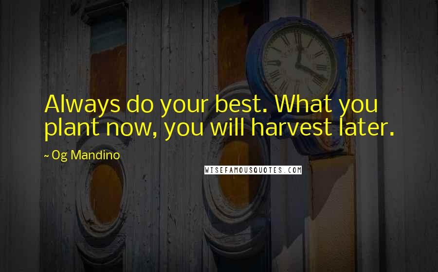 Og Mandino Quotes: Always do your best. What you plant now, you will harvest later.