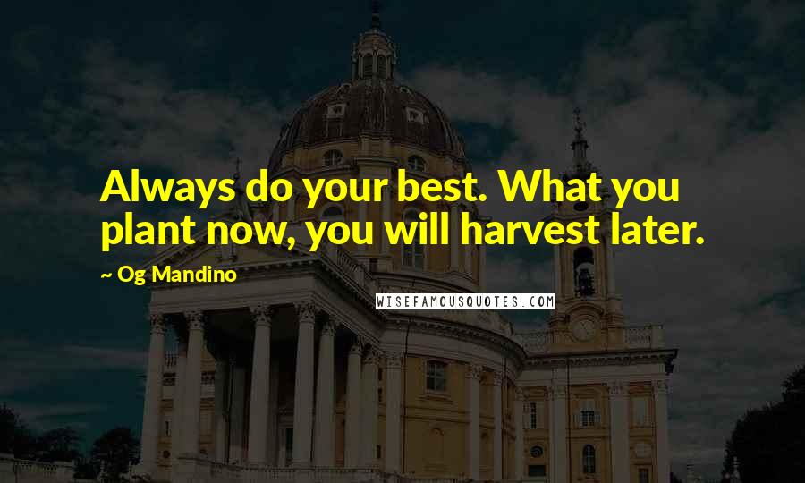 Og Mandino Quotes: Always do your best. What you plant now, you will harvest later.