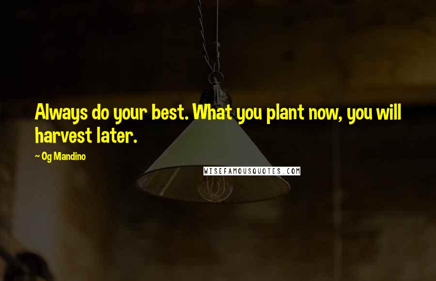 Og Mandino Quotes: Always do your best. What you plant now, you will harvest later.