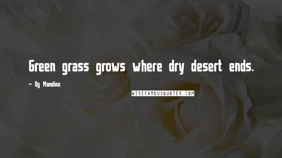 Og Mandino Quotes: Green grass grows where dry desert ends.