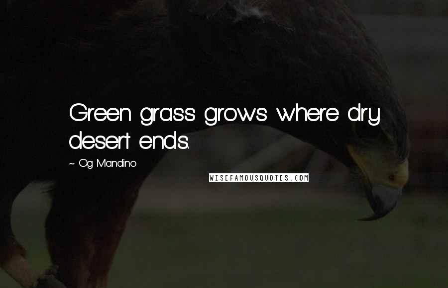 Og Mandino Quotes: Green grass grows where dry desert ends.
