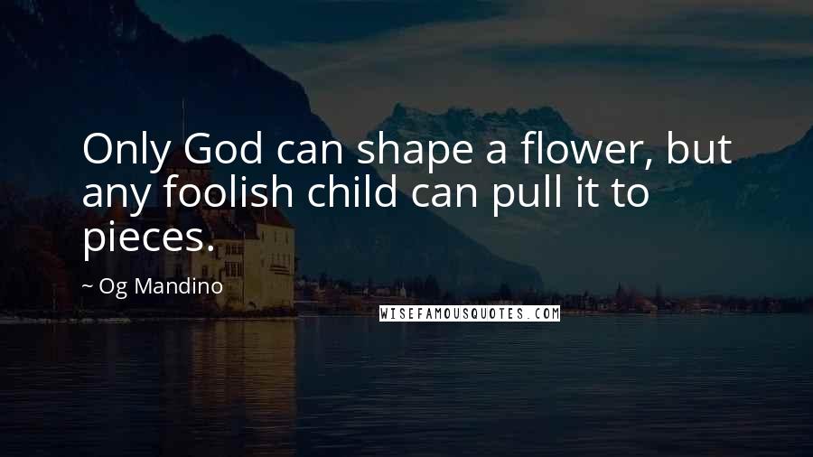 Og Mandino Quotes: Only God can shape a flower, but any foolish child can pull it to pieces.