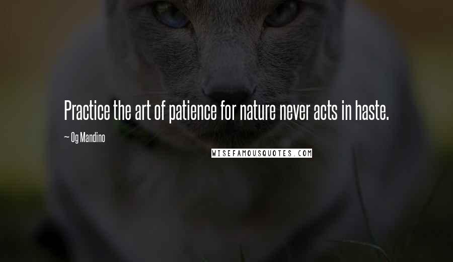 Og Mandino Quotes: Practice the art of patience for nature never acts in haste.