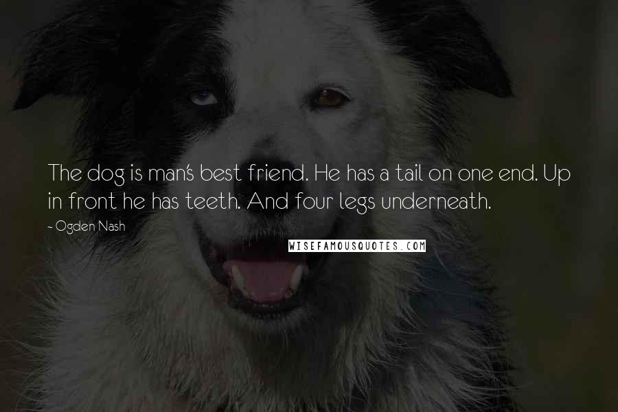 Ogden Nash Quotes: The dog is man's best friend. He has a tail on one end. Up in front he has teeth. And four legs underneath.
