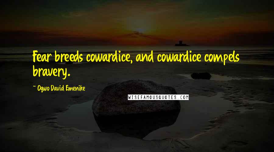 Ogwo David Emenike Quotes: Fear breeds cowardice, and cowardice compels bravery.
