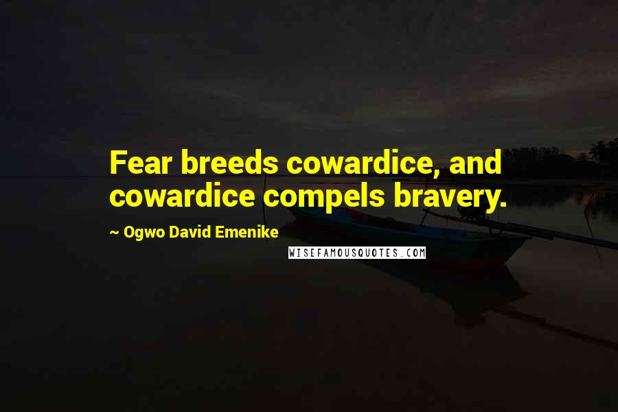 Ogwo David Emenike Quotes: Fear breeds cowardice, and cowardice compels bravery.