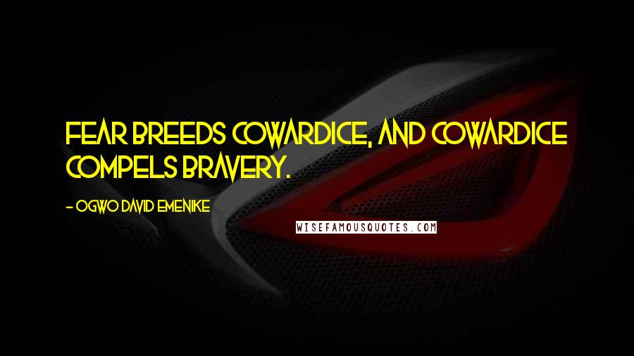 Ogwo David Emenike Quotes: Fear breeds cowardice, and cowardice compels bravery.