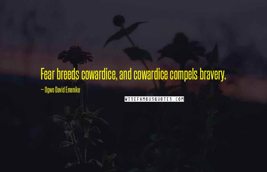 Ogwo David Emenike Quotes: Fear breeds cowardice, and cowardice compels bravery.