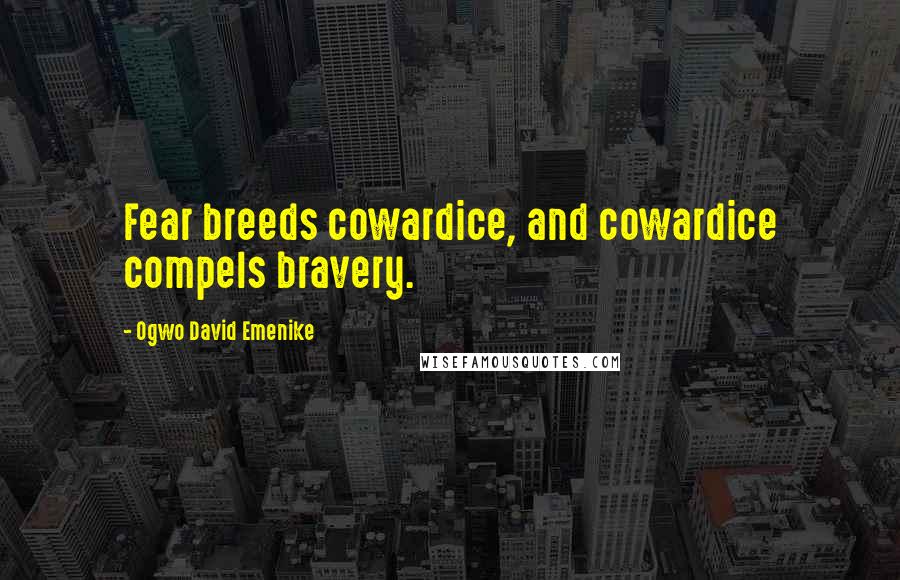 Ogwo David Emenike Quotes: Fear breeds cowardice, and cowardice compels bravery.