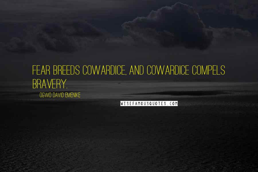 Ogwo David Emenike Quotes: Fear breeds cowardice, and cowardice compels bravery.