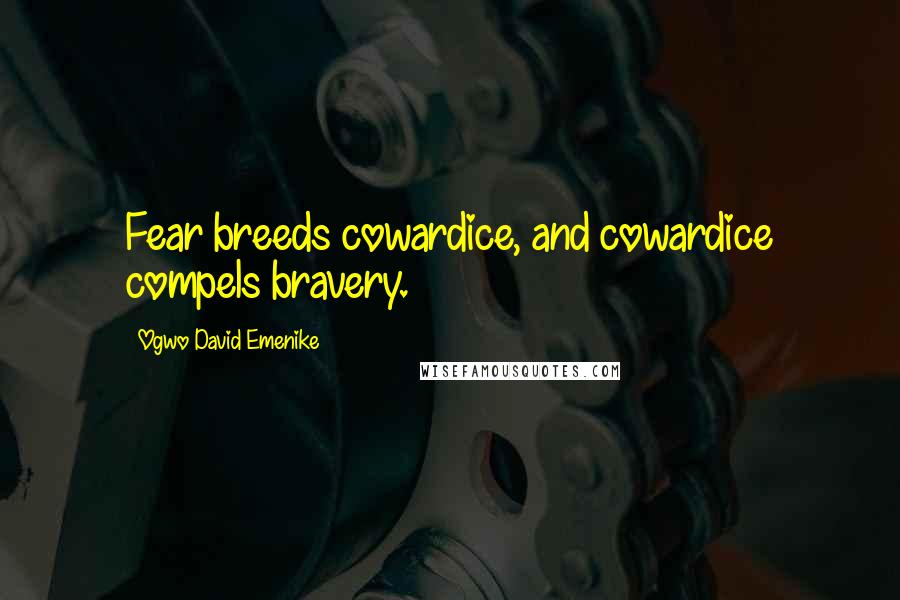 Ogwo David Emenike Quotes: Fear breeds cowardice, and cowardice compels bravery.