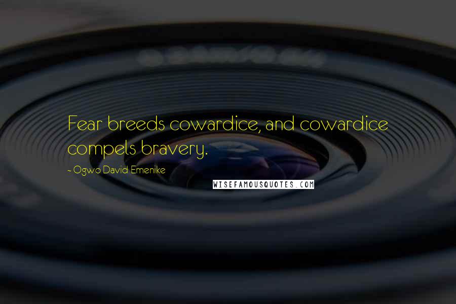 Ogwo David Emenike Quotes: Fear breeds cowardice, and cowardice compels bravery.