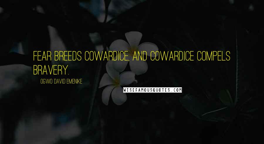 Ogwo David Emenike Quotes: Fear breeds cowardice, and cowardice compels bravery.