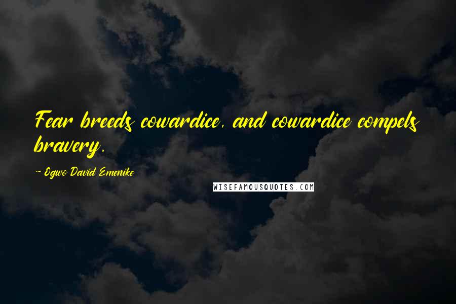 Ogwo David Emenike Quotes: Fear breeds cowardice, and cowardice compels bravery.