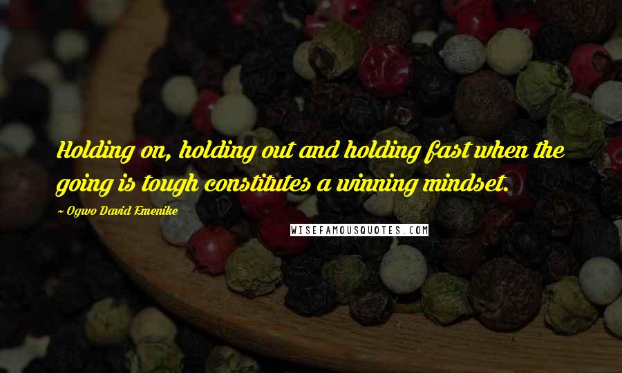 Ogwo David Emenike Quotes: Holding on, holding out and holding fast when the going is tough constitutes a winning mindset.