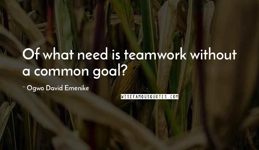 Ogwo David Emenike Quotes: Of what need is teamwork without a common goal?