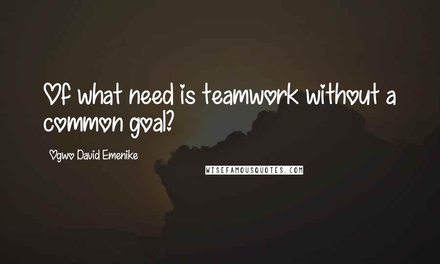 Ogwo David Emenike Quotes: Of what need is teamwork without a common goal?