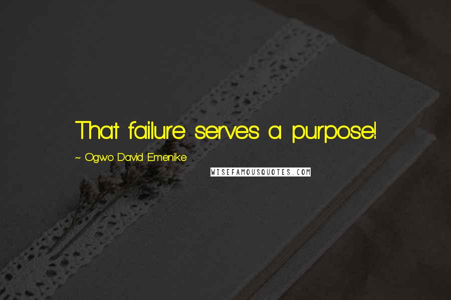 Ogwo David Emenike Quotes: That failure serves a purpose!