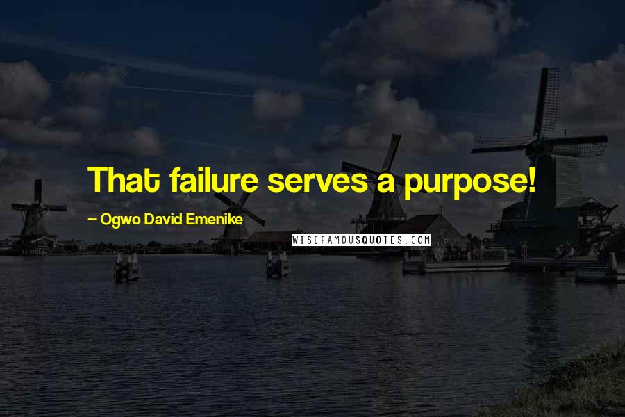 Ogwo David Emenike Quotes: That failure serves a purpose!