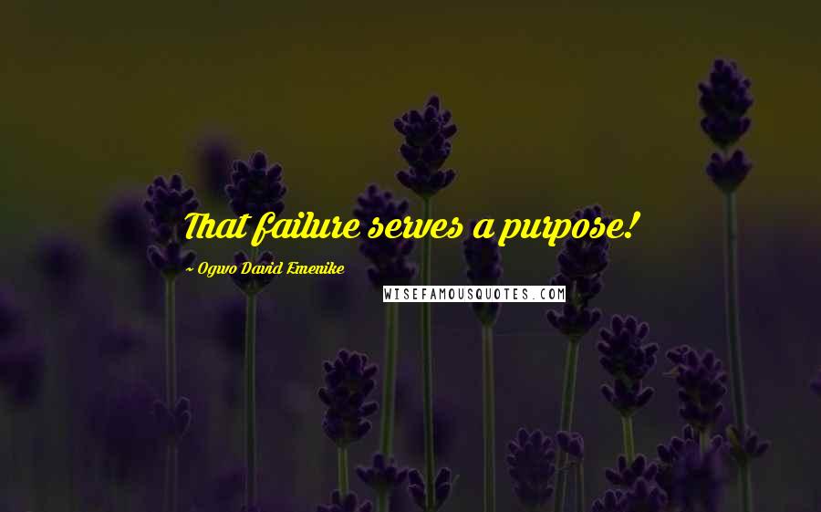 Ogwo David Emenike Quotes: That failure serves a purpose!