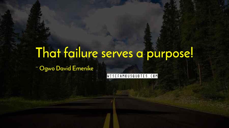 Ogwo David Emenike Quotes: That failure serves a purpose!