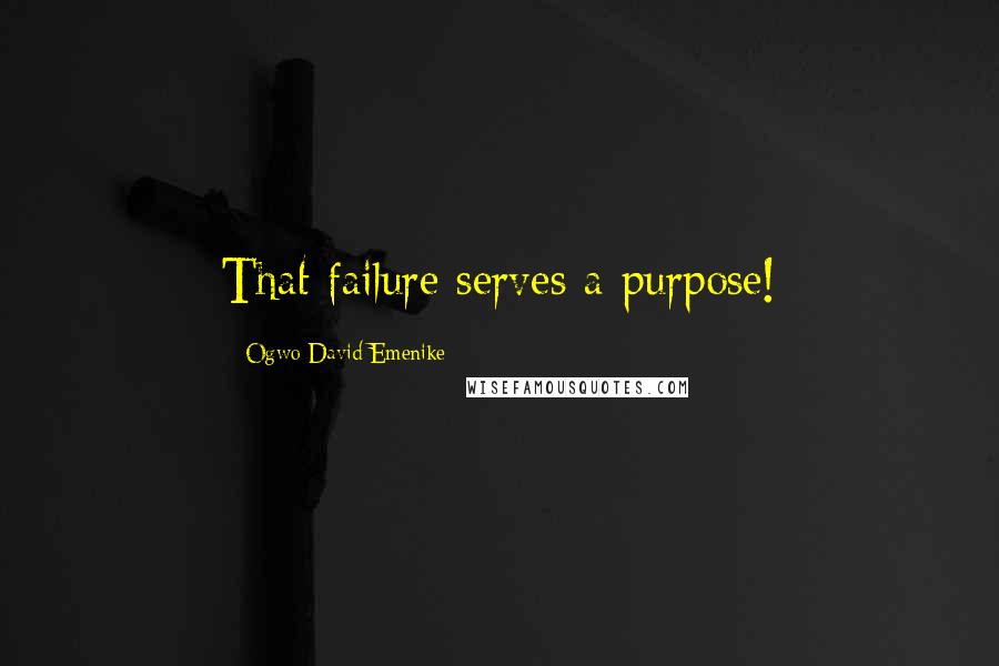 Ogwo David Emenike Quotes: That failure serves a purpose!