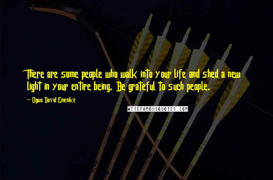 Ogwo David Emenike Quotes: There are some people who walk into your life and shed a new light in your entire being. Be grateful to such people.