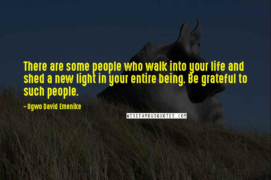 Ogwo David Emenike Quotes: There are some people who walk into your life and shed a new light in your entire being. Be grateful to such people.