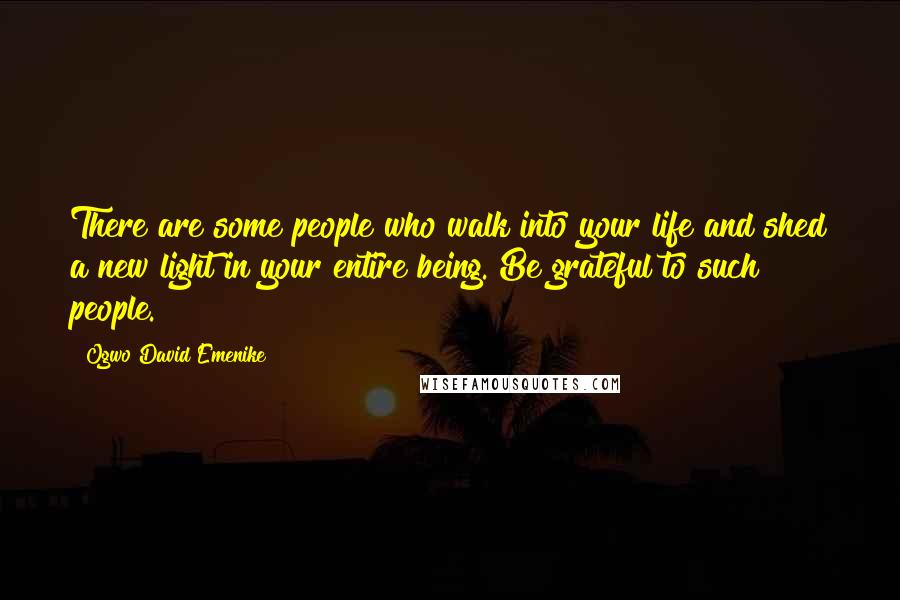 Ogwo David Emenike Quotes: There are some people who walk into your life and shed a new light in your entire being. Be grateful to such people.