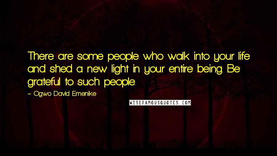 Ogwo David Emenike Quotes: There are some people who walk into your life and shed a new light in your entire being. Be grateful to such people.