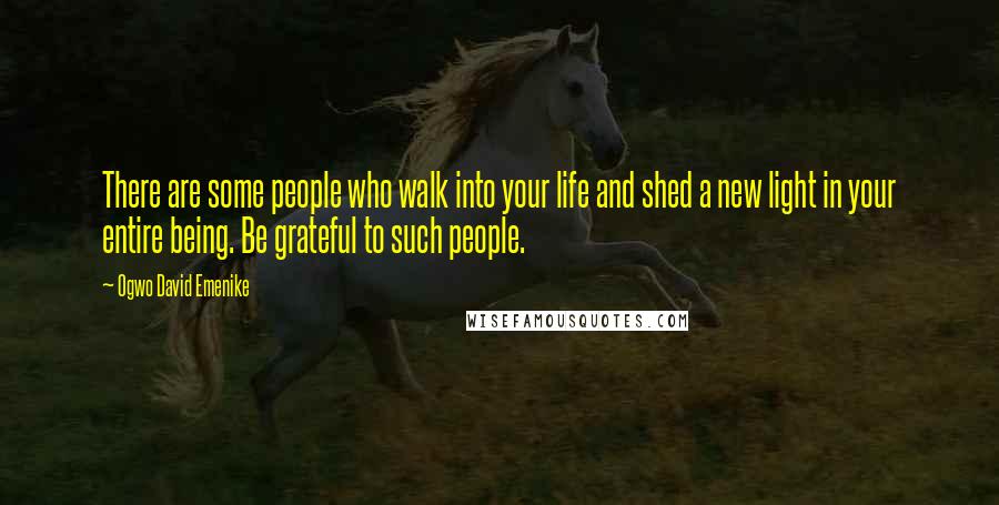 Ogwo David Emenike Quotes: There are some people who walk into your life and shed a new light in your entire being. Be grateful to such people.