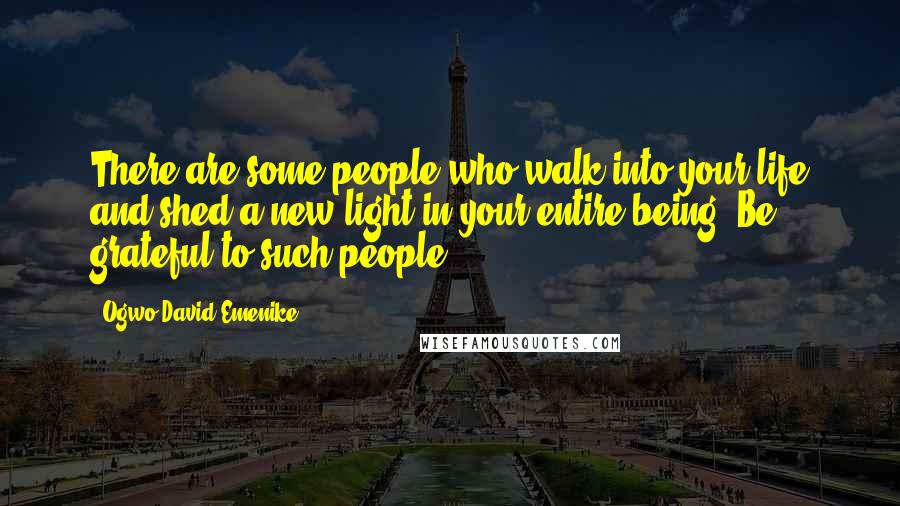 Ogwo David Emenike Quotes: There are some people who walk into your life and shed a new light in your entire being. Be grateful to such people.