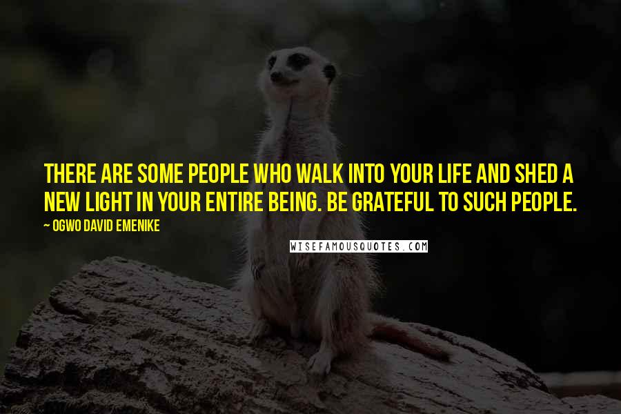 Ogwo David Emenike Quotes: There are some people who walk into your life and shed a new light in your entire being. Be grateful to such people.