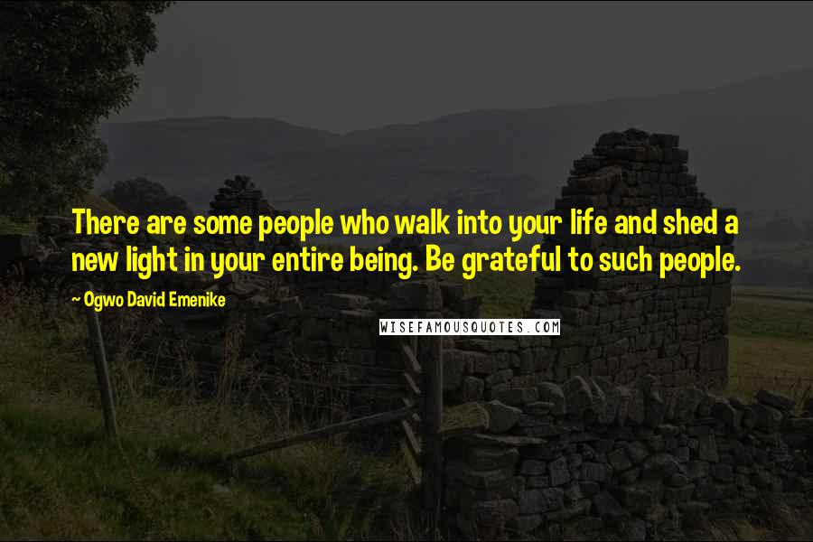 Ogwo David Emenike Quotes: There are some people who walk into your life and shed a new light in your entire being. Be grateful to such people.