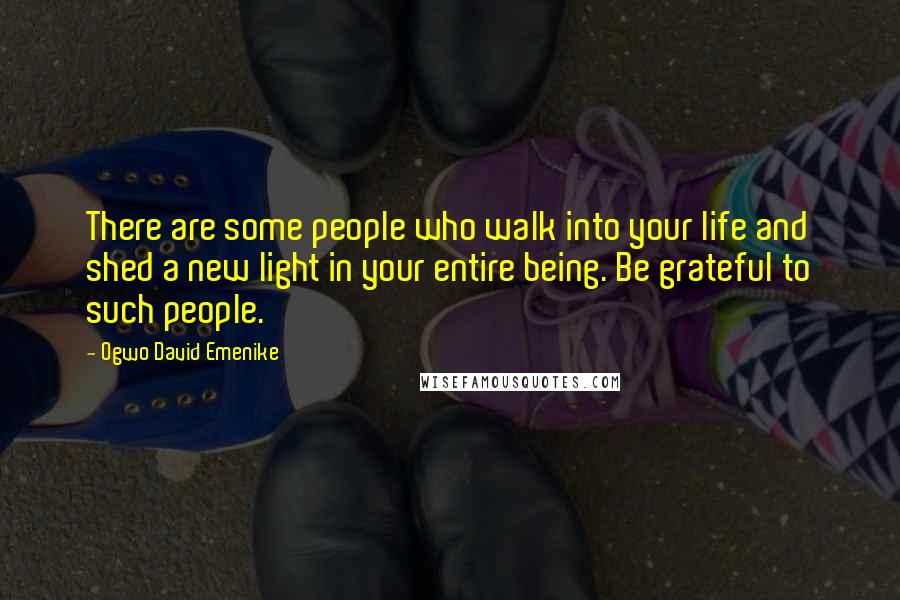 Ogwo David Emenike Quotes: There are some people who walk into your life and shed a new light in your entire being. Be grateful to such people.