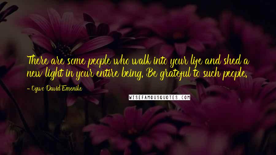 Ogwo David Emenike Quotes: There are some people who walk into your life and shed a new light in your entire being. Be grateful to such people.